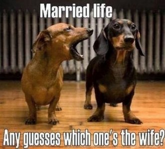 6fd48e4391fd59bbf6c6cb00eb88d0d2[1].jpg
