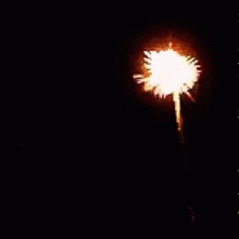 fireworks-new-year.gif