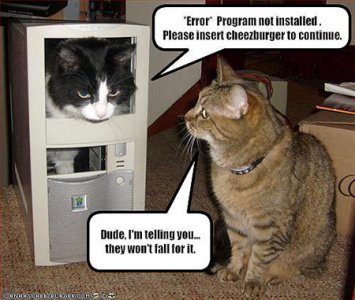 strange-animals.jpg