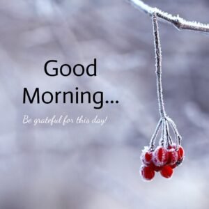 beautiful-frozen-red-berries-good-morning-images-300x300.jpg