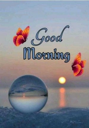 78c75d952fe2d0f18b3560606252fae9[1].jpg