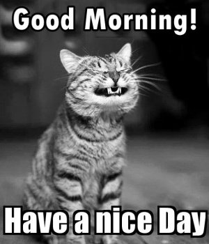 3f513e3ec125911c1ad15954a98259fb[1].jpg