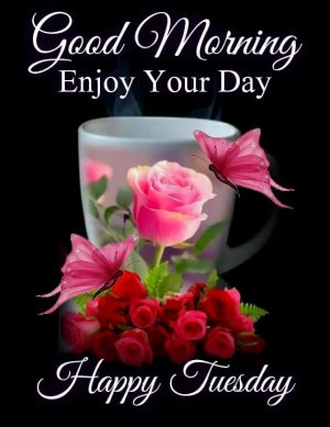 389437-Good-Morning-Enjoy-Your-Day-Happy-Tuesday.jpg