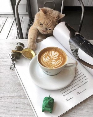 3f64f46d7bb177a99482142779c9e700.jpg
