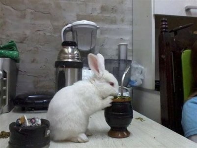 coffee3.jpeg