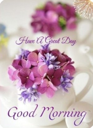 13c0c8e43369c61bef1cec951e908f7b[1].jpg