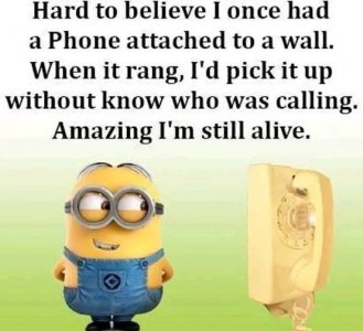 290289627_577358354014159_8516875660950326073_n.jpg