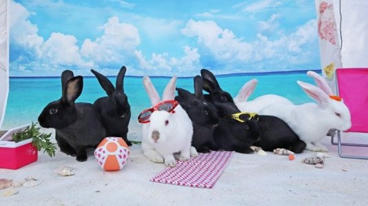 beach.jpg