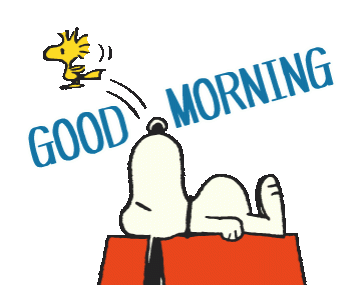 183405a80b2c9749bdea48b3e7fe88e3[1].gif