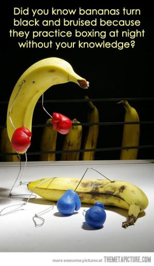 9a646f2ce8427036d273ad41da6e93b6.jpg