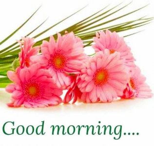 c5f29d90af7a2a0eecf92fded08a770b.jpg