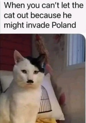 1657054650478.jpg