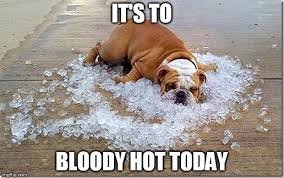 hot.jpg