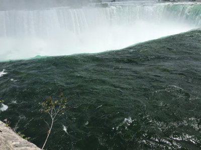IMG_1245.jpg