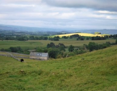 Above Malham Cove.2b.jpg