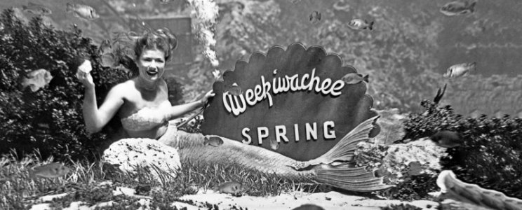 SIZ-TEST-WEEKI-WACHEE-SPRING-VINTAGE_1-1412x570 (1).jpg