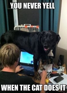 78cec83490427814853735fb3115f735--double-standards-poor-dog.jpg