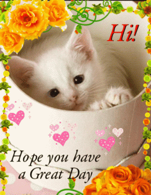 21b8ec61e636956207bd4ff586a92d5b[1].gif
