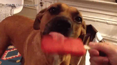 D78459CF-94F0-4ACF-AC30-33DF3EA4DD9D.gif