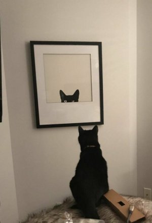 1 (1).jpg