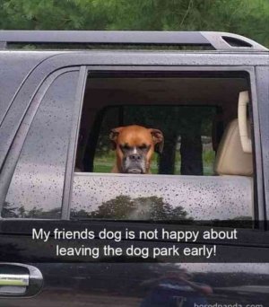 b4ca739d2a5b22edbdc479b0d5eb1cbb.jpg