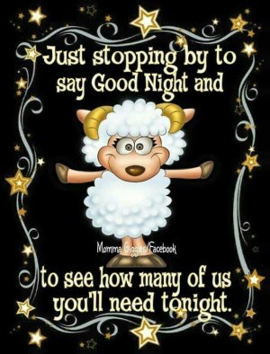 54965CFA-4A7B-4AD5-BB9C-489DFB53BE4E.jpeg