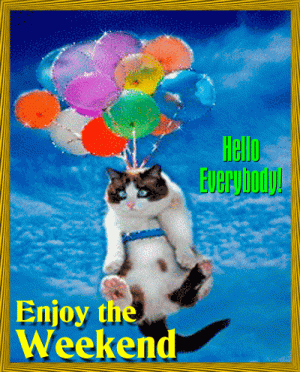 2487a7c7cbd137683d4ecd11ee41d8a5[1].gif