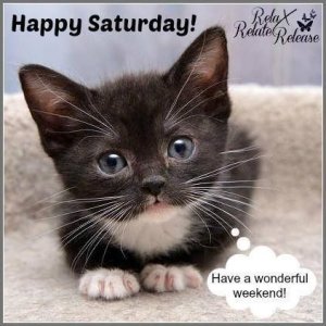7e9c95c7f30237f3c8e9bfdce1f11e4f[1].jpg