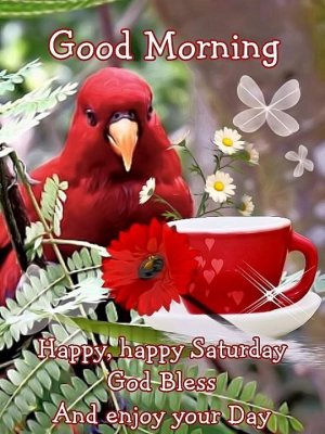 94cf56a6b8eceed7db10d96790452fe3.jpg