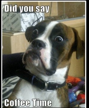 coffee did you say.jpg