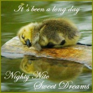 5dfe30f3b88bb8123432e1cd772d4742[1].jpg