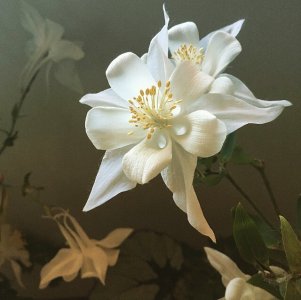 tumblr_b24107e76c0d6d3693474cbcb4ee1e26_937e4a9a_640.jpg