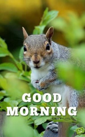 927583a5f868a15f2daf71954e4b1a00[1].jpg
