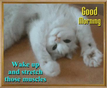 3fe3473397173d7c552e2808a74e6026[1].gif