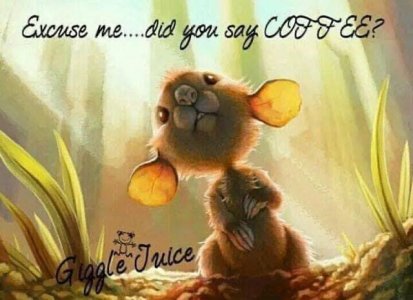 C300B98E-79B5-46FE-8F44-9F195CFC2CB8.jpeg