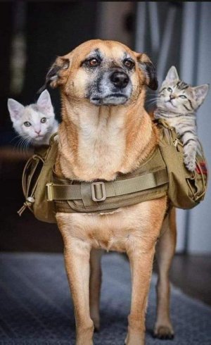 packed.jpg