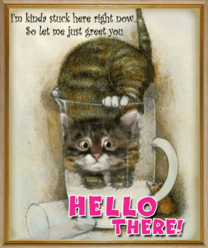 a8bda3b49fb1b888ce1e78815bc9bf4f[1].gif