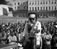 moonflower 5.jpg moonflower 5.jpg