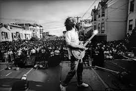 moonflower 6.jpg moonflower 6.jpg