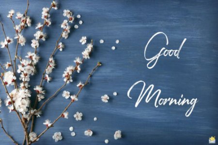 good-morning-images-with-flowers-64-500x334.jpg