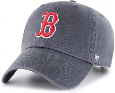 Sox_Rock.jpg