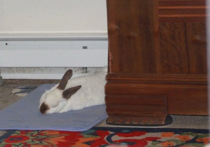 asleep_1400.JPG