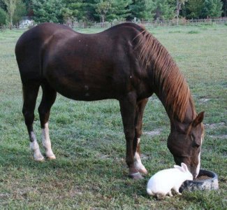 bonded.jpg
