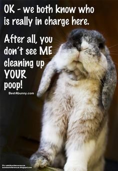 c2688234f11f29a0d982c05ba611a0eb[1].jpg