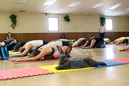stretching.jpg