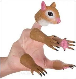 convhndsqurl.jpg