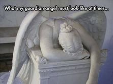 00.jpg 00.jpg