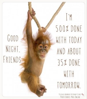 448F2C36-2A7E-43DC-8E2F-534E1EE32211.jpeg