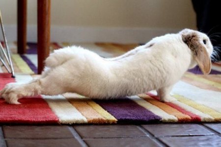 stretch.jpg