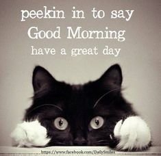419fe1f14e81b7d1b8bdae9806ff9f0a[1].jpg